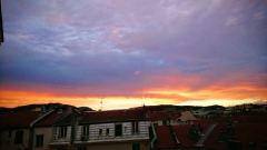 archives,solitude,isolement,bonheur