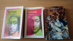 adaptation hédonique,philosophie,spinoza,littérature