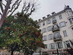 gratitude,empathie,compassion,piratage émotionnel,dette,pensée critique