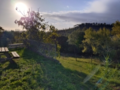 émotions individuelles, émotions collectives, géopolitique, livre  