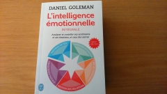 Goleman, livre, Intelligence émotionnelle, philosophie, maladie, mental, corps