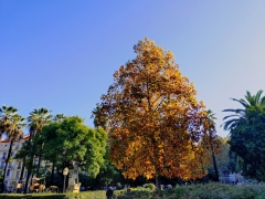 travail, IA, emplois, nouvelles compétences, santé psychologique  